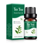 Aceites-Esenciales-Para-Difusor-De-Aroma-Humidificador-De-Aire-Soluble-En-Agua-Para-El-Hogar-Aromas-5.Webp