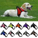Arn-S-Ajustable-Con-Correa-Para-Perros-Y-Gatos-Chaleco-Reflectante-Y-Transpirable-Para-Perros-Peque.webp