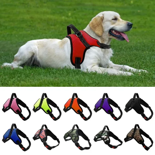 Imagen Del Producto Correa Para Perros Y Gatos Eficaz Arnés Ajustable | Compra Online En Tiendafiable