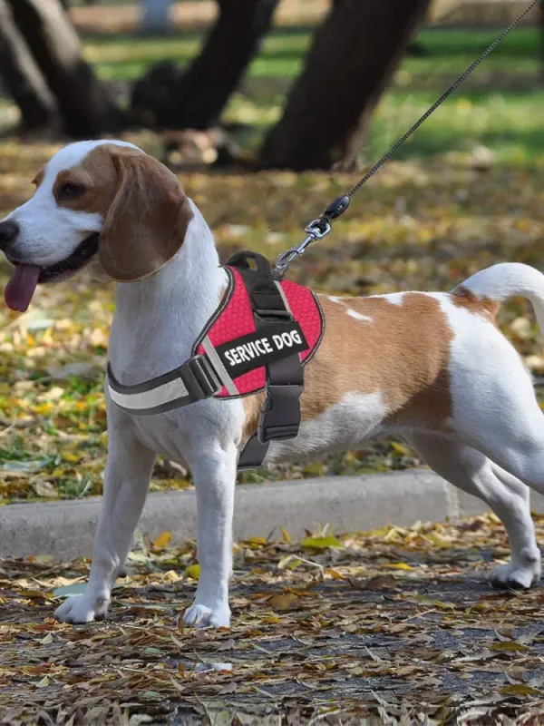 Imagen Del Producto Nuevo Arnés Transpirable Personalizado Para Mascotas | Compra Online En Tiendafiable