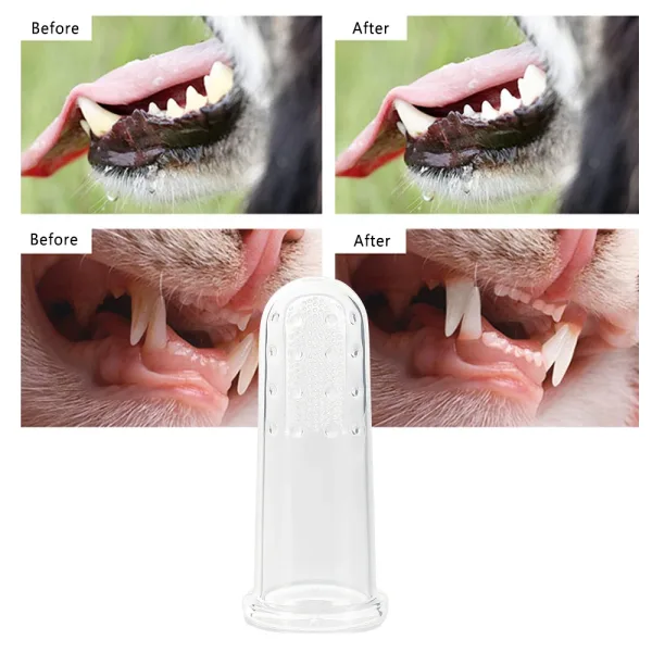 Imagen Del Producto Genial Cepillo De Dientes Para Mascotas | Compra Online En Tiendafiable