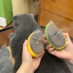 Cepillo-De-Vapor-Para-Perros-Y-Gatos-Pulverizador-El-Ctrico-Para-Masaje-Herramienta-De-Aseo-Para-4.Webp