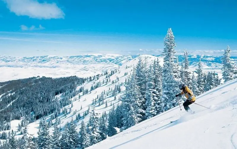 Notable Auriculares PRO Inalámbrica para Motoristas