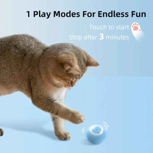 Pelota Para Gatos Juguetes Brillante Interactivo