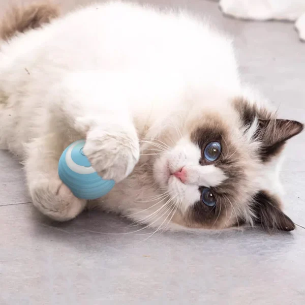 Pelota Para Gatos Juguetes Brillante Interactivo