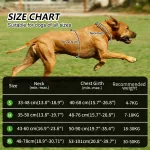 Masbrill-Arn-S-De-Nailon-Reflectante-Para-Perro-Chaleco-Ajustable-Para-Perros-Traviesos-Medianos-Y-Grandes-4.Webp
