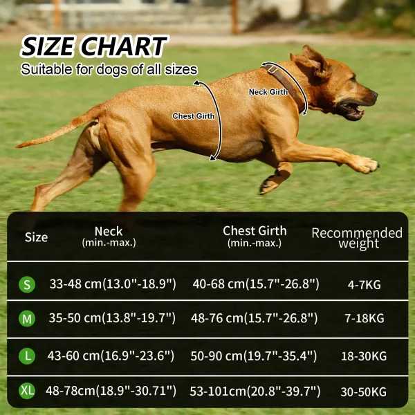 Imagen Del Producto Necesario Correa Para Perro Comodidad Y Seguridad | Compra Online En Tiendafiable