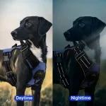 Masbrill-Arn-S-De-Nailon-Reflectante-Para-Perro-Chaleco-Ajustable-Para-Perros-Traviesos-Medianos-Y-Grandes-5.Webp