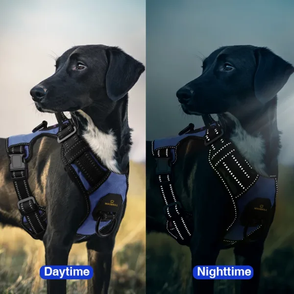Imagen Del Producto Necesario Correa Para Perro Comodidad Y Seguridad | Compra Online En Tiendafiable