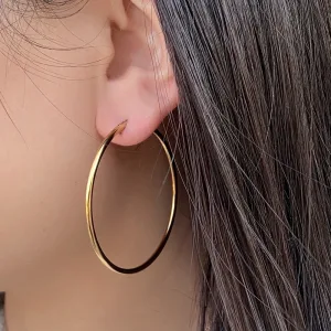 Imagen del producto Aros para Mujer Tradicionales de Calidad y Estilo | Compra online en Tiendafiable