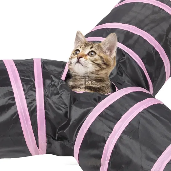 Nuevo Túnel De Juego Interactivo Para Gatos