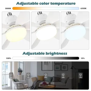 Imagen del producto Eficaz Ventilador de Techo 40W con Control Remoto | Compra online en Tiendafiable