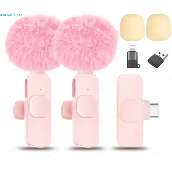 Mini Micrófono Portátil: Calidad De Sonido Excepcional En Un Tamaño Compacto