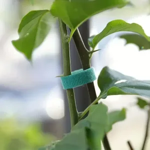 Imagen del producto Brida para cables de nailon autoadhesiva, vendaje de hilo de jardín | Compra online en Tiendafiable