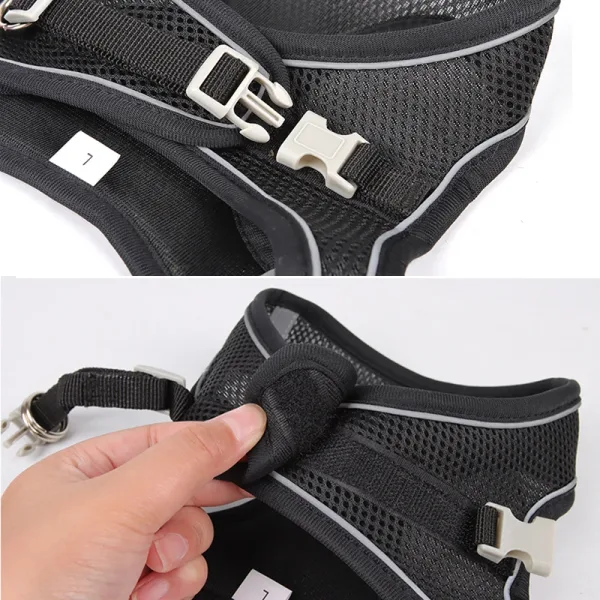 Imagen Del Producto Conjunto De Correa De Arnés Para Perros Pequeños | Compra Online En Tiendafiable
