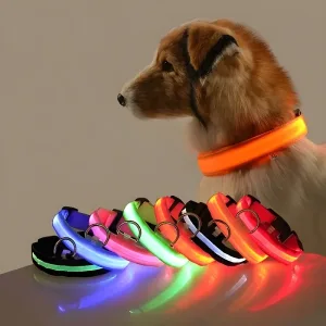 Imagen del producto Collar para perro de nailon LED de seguridad nocturna intermitente | Compra online en Tiendafiable