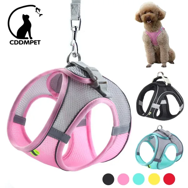 Imagen Del Producto Conjunto De Correa De Arnés Para Perros Pequeños | Compra Online En Tiendafiable