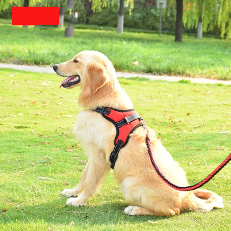 Correa Para Perros Y Gatos Eficaz Arnés Ajustable Correa Para Perros Y Gatos Eficaz Arnés Ajustable