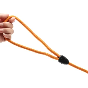 Imagen informativa: Nuevo Correas Resistentes de 8mm para Perros y Gatos | Tiendafiable