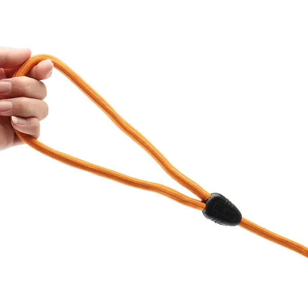 Imagen Informativa: Nuevo Correas Resistentes De 8Mm Para Perros Y Gatos | Tiendafiable