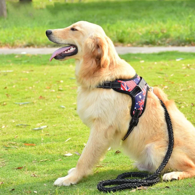 Correa Para Perros Y Gatos Eficaz Arnés Ajustable Correa Para Perros Y Gatos Eficaz Arnés Ajustable