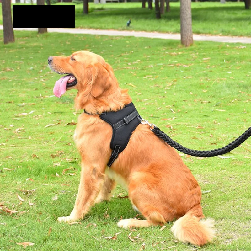 Correa Para Perros Y Gatos Eficaz Arnés Ajustable Correa Para Perros Y Gatos Eficaz Arnés Ajustable