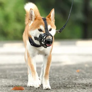 Imagen informativa: Fascinante Bozal Para Perros Transpirable | Tiendafiable