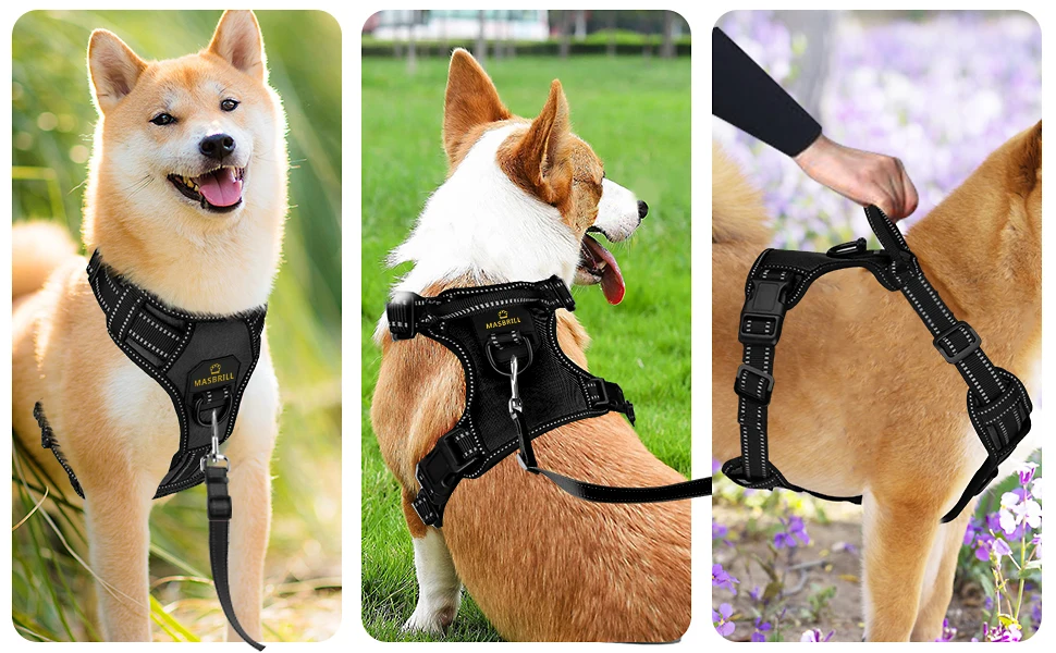 Necesario Correa Para Perro Comodidad Y Seguridad
