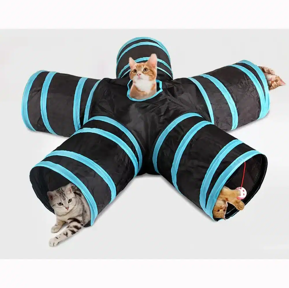 Nuevo Túnel de Juego Interactivo para Gatos