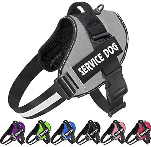 Nuevo Arnés Transpirable Personalizado Para Mascotas Nuevo Arnés Transpirable Personalizado Para Mascotas